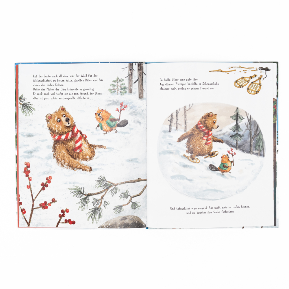 buechlade_hochdorf_sabbag_kuijl_ganz_bald_ist_weihnachten_schneiderbuch_verlag_2025_innenansicht