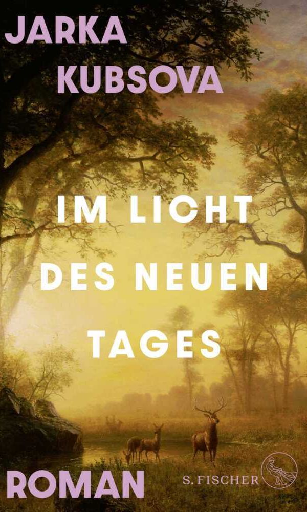 buechlade_hochdorf_jarka_kubsova_im_licht_des_neuen_tages_s_fischer_verlag_2026